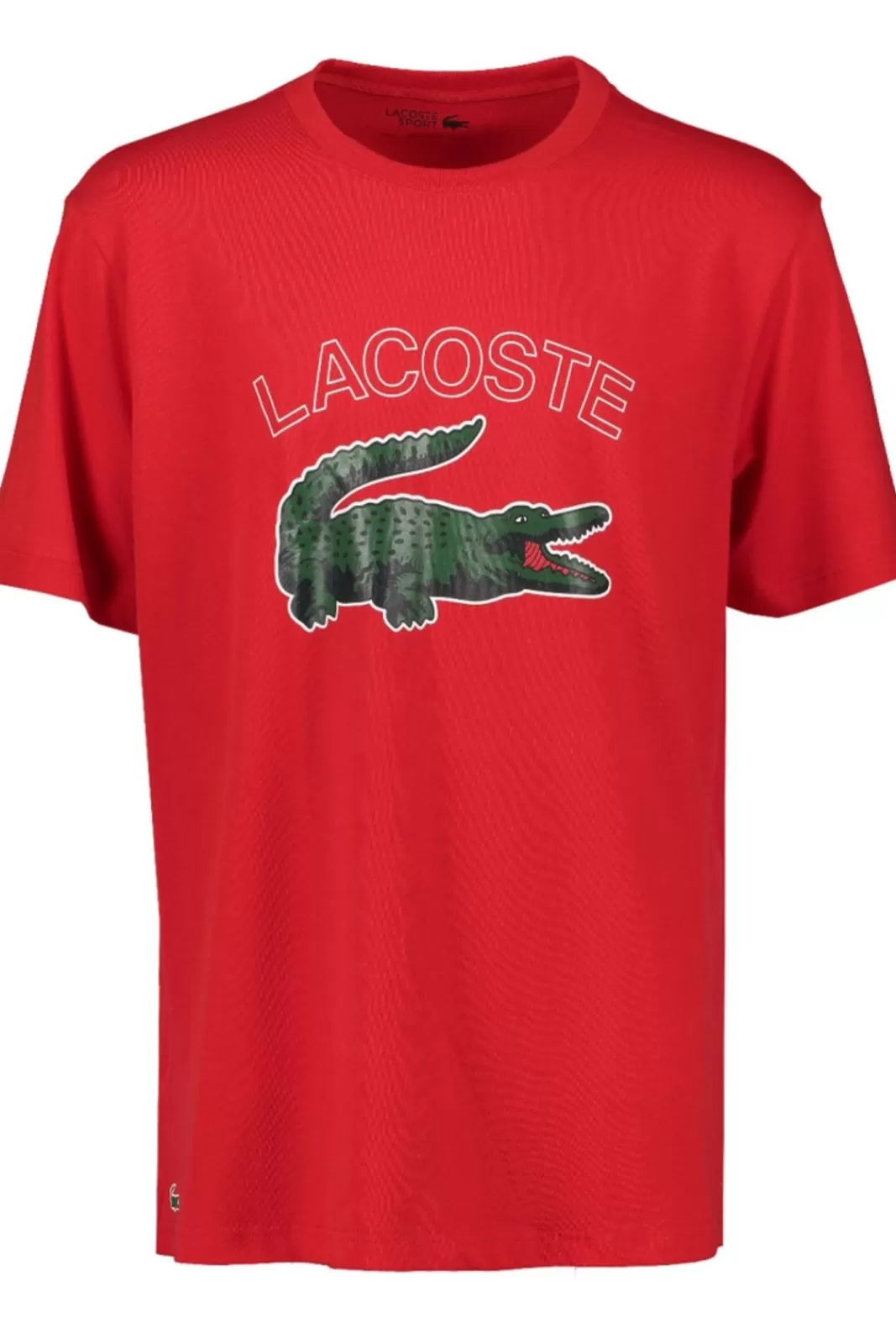 Flash Sale LACOSTE T-Shirt